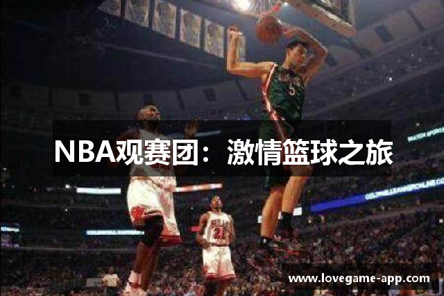 NBA观赛团：激情篮球之旅