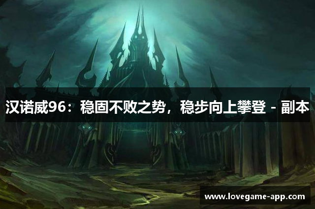 汉诺威96：稳固不败之势，稳步向上攀登 - 副本