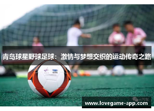 青岛球星野球足球：激情与梦想交织的运动传奇之路
